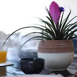 Zanov Apartament *
