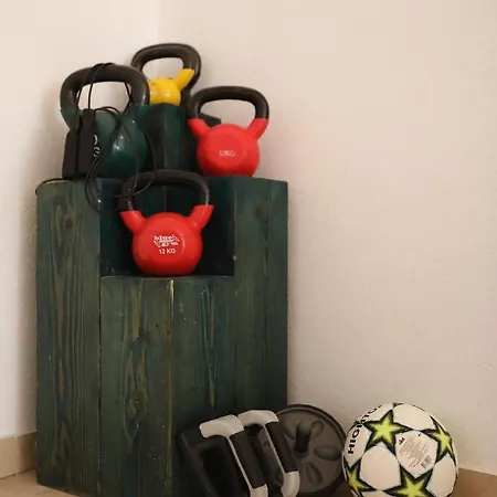 Zanov Apartment *